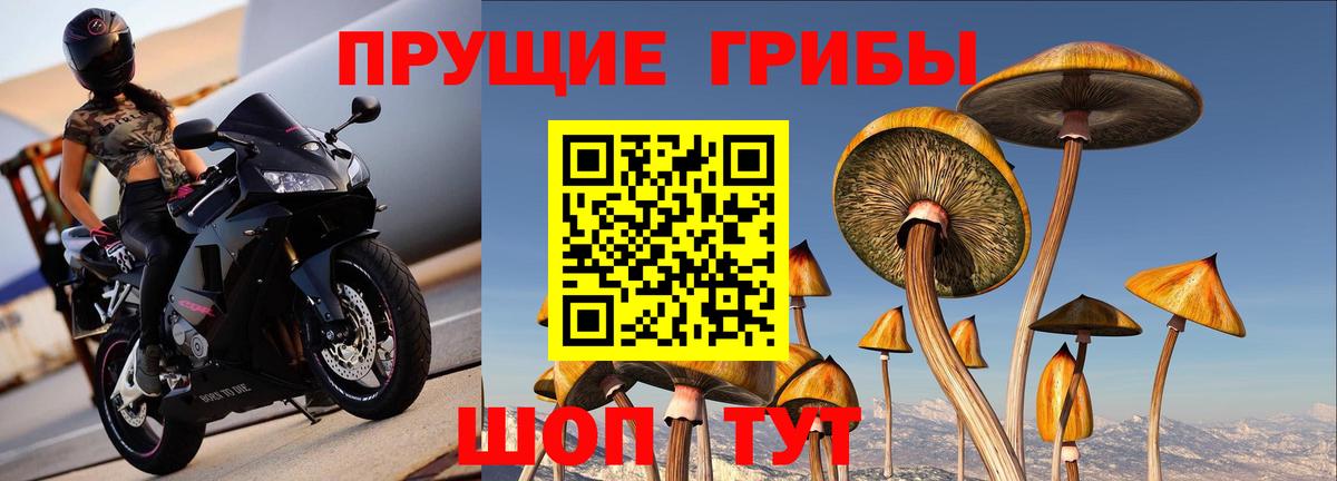 Галлюциногенные грибы Magic Shrooms Ижевск